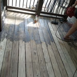 Deck and Screen Porch Restoration