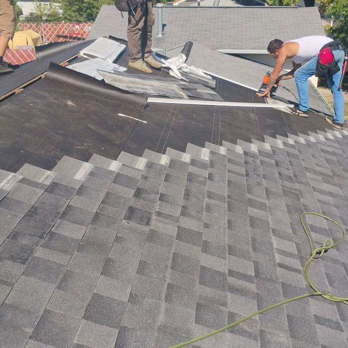 Roof