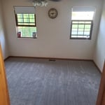 deep clean carpet