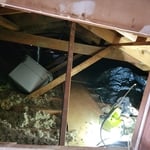Attic door