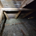 Mold