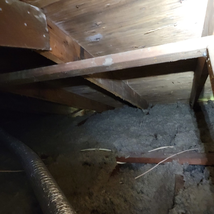 Mold