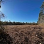 Forestry Mulching