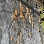 Rubber Roof