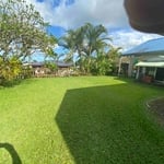 Freshly Mowed Lawn