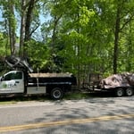 Tree delivered and planting