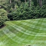 Lawn mowing