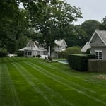 Lawn care