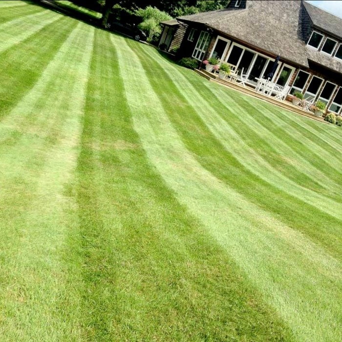 Property care