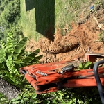French Drain