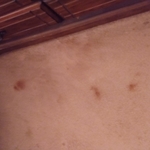 Tile and Carpet Cleaning