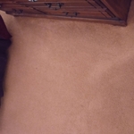 Carpet (after)
