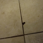 Tile fix and cleaning
