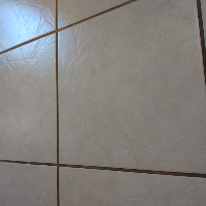 Tile Cleaning Job