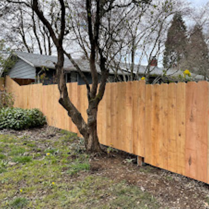 New Fence
