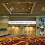 MGM Grand Garden Arena