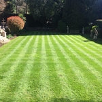 Lawn maintenance