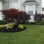 Mulch Installation