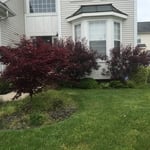 Mulch Installation