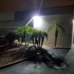 Tempe Exterior lighting