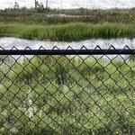 Black chainlink fence