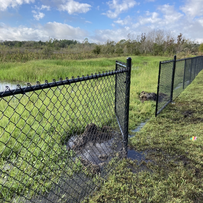 Black chain link fence and gate