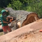 Bucking the log 2