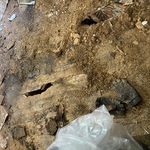 floor