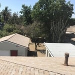 Amber Shingle Re-Roof