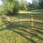 Ranch Style w/ Box Wire