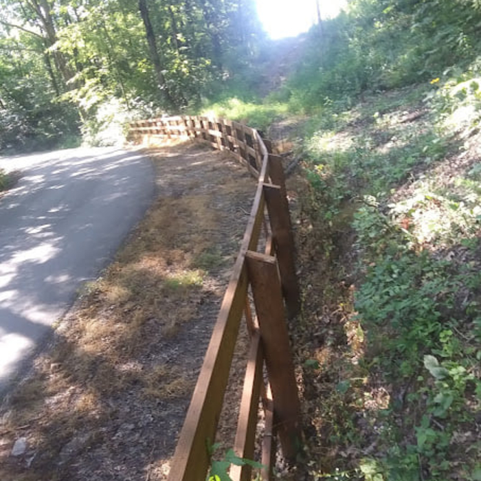 Pine Privacy Fence