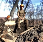 Hazard tree take down