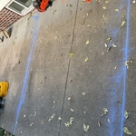 Main Sewer Line Dig