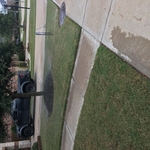 FRONT YARD RECONNECTED