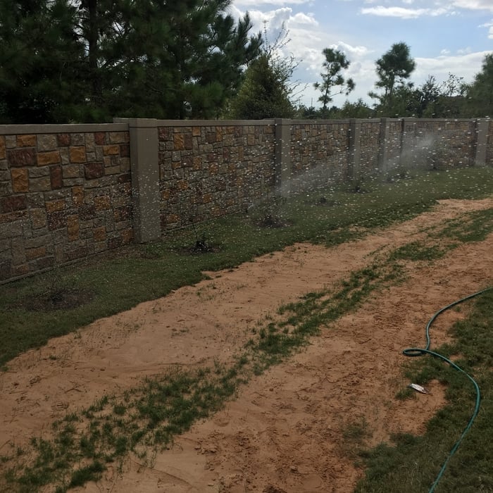 BACK YARD RECONNECTED