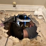 Remodels /repairs