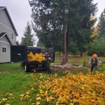 Tree Removal