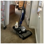 Carpet spot cleaning