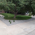 After Landscape Renovations
