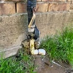 Main line House Leak