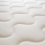 Bed Bug Control