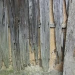 Termite Control