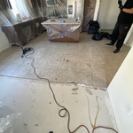 LVT