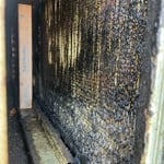 Kitchen RTU Coil Cleaning