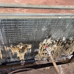 Thorough Cleaning