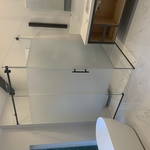 Privacy Shower Door