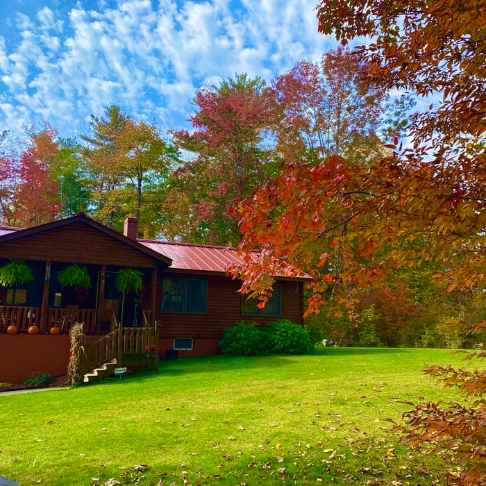 Log Home Stain