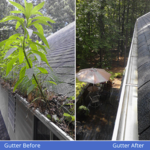 Gutter Cleaning
