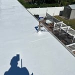 Lifetime silicone roof sealant