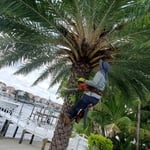 Tony's Landscaping